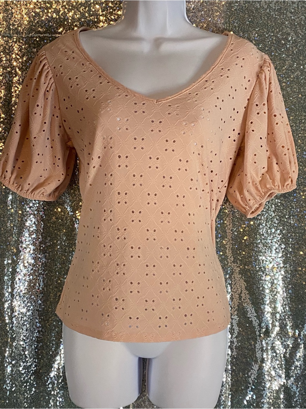 Perfectly Priscilla Blush Eyelet Puff Sleeve Top | Cottagecore Romantic Size L